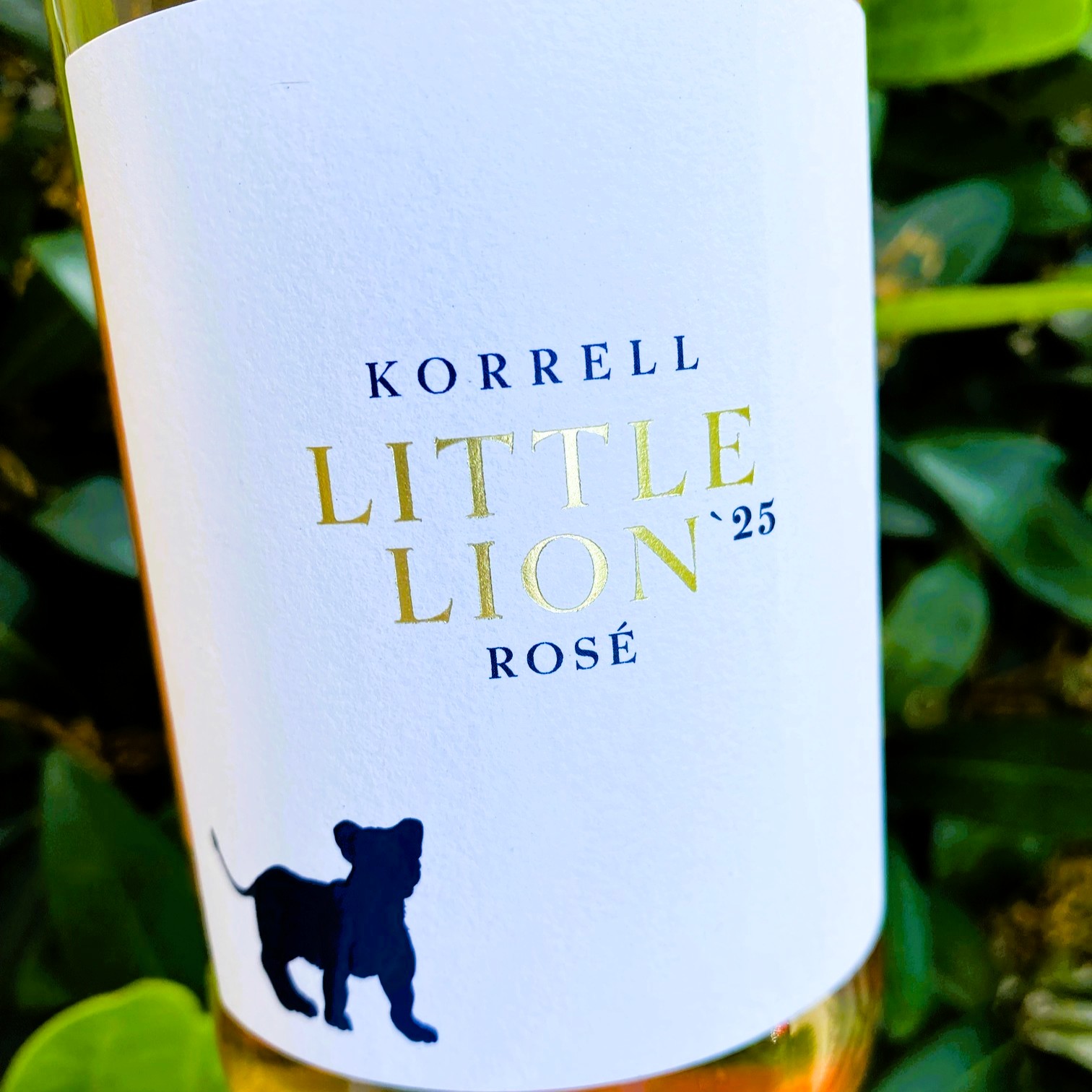 2025 Little Lion Rosé trocken, Korrell